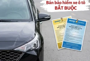 Bán bảo hiểm xe ô tô bắt buộc