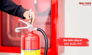 Bảo hiểm cháy nổ bắt buộc PVI