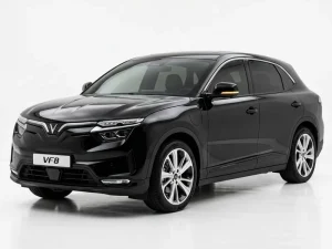 Mua bảo hiểm xe VF 8