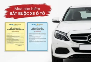 Mua bảo hiểm bắt buộc xe ô tô