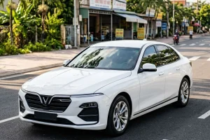 Bảo hiểm thân vỏ ô tô PVI 3 b o hi m th n v t pvi 2