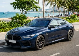 b o hi m xe t bmw 8 series 1