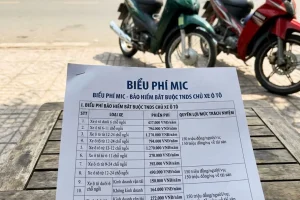 bi u ph b o hi m v t ch t xe t mic 1